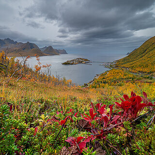 Senja - Husoy